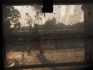 The Good, Slow Train: Train panes